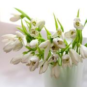 Школа керамической флористики FLEUR - мастер-классы - удобное время
